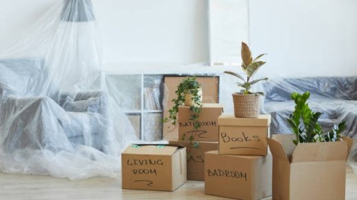 Everything You Need to Know About Chicago Movers